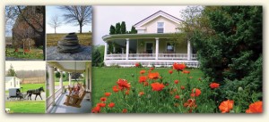 locationheader2
