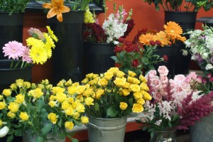 flower shop