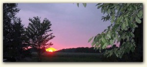 Amazing Sunsets