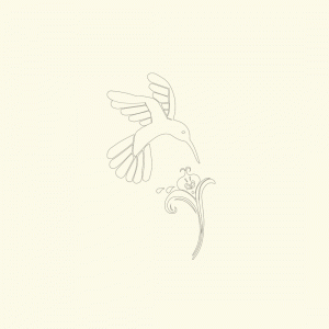 bg new