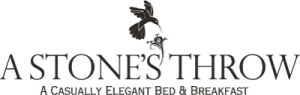 logo ast