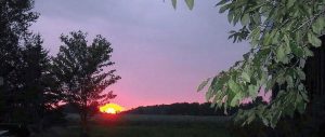 Amazing Sunsets2