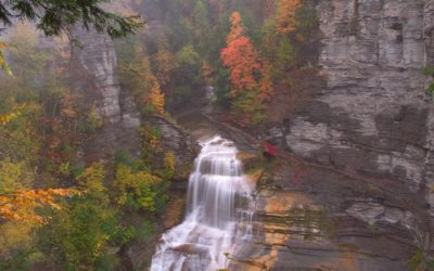 12 Waterfalls Robert E. Treman Park