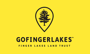 Your Adventures in the Finger Lakes